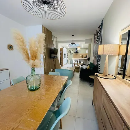 Apartment Maison 4